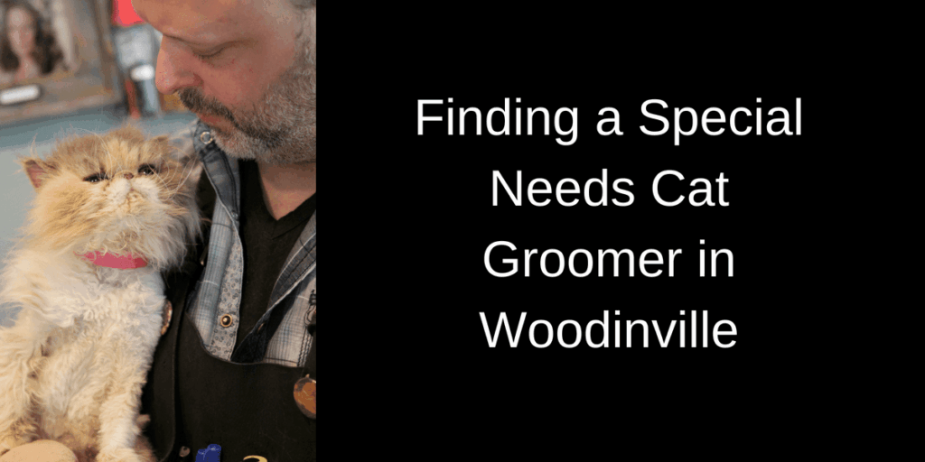 Person holding a fluffy white and gray cat with a pink collar. Text on the right side reads: "Finding a Special Needs Cat Groomer in Woodinville." Indoor setting with soft lighting.
