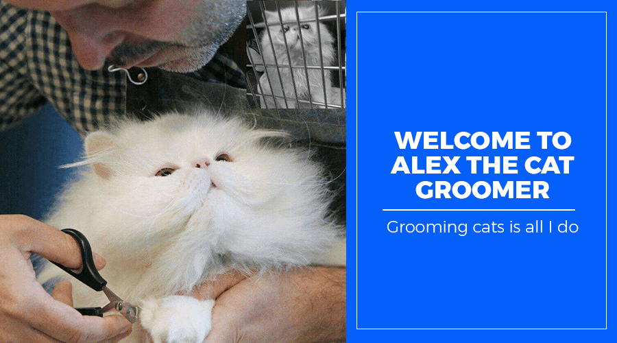 Man trimming the fur of a fluffy white cat using scissors. Another cat sits in a cage in the background. A blue box on the right side reads: "Welcome to Alex the Cat Groomer – Grooming cats is all I do.