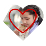 Professional groomer in Bothell, WA providing nail and coat care for cats