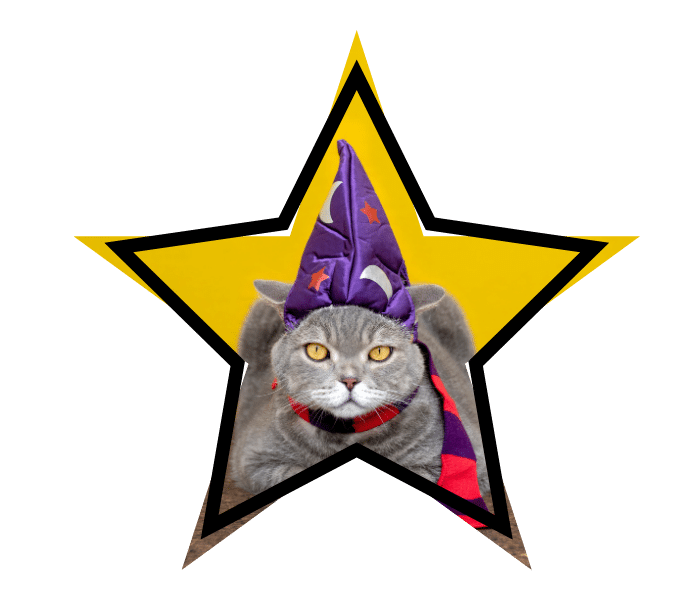 A cat with a wizard hat costume representing grooming misconceptions that cover the truth.